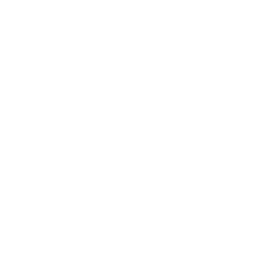          -   161 .