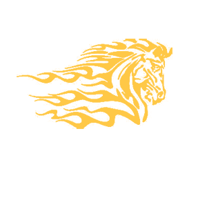      - -   201 .