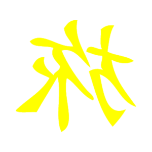        -   81 .