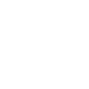        -   81 .