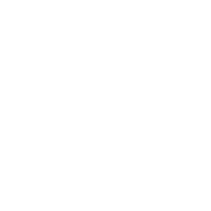    -   133 .