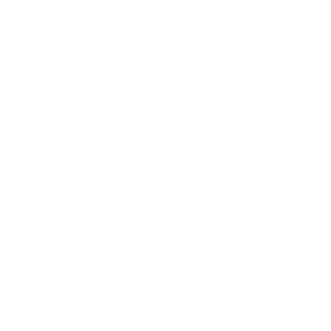        -   110 .