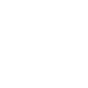 ����������� �� ����������� ����� �������� ������ - ������ �� 133 ���.