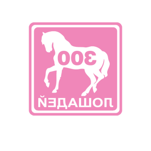      300   -   84 .