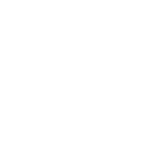      300   -   84 .