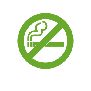    -    (no smoking) -   65 .
