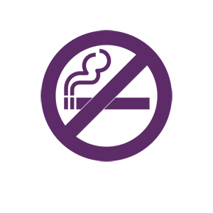        (no smoking) -   65 .