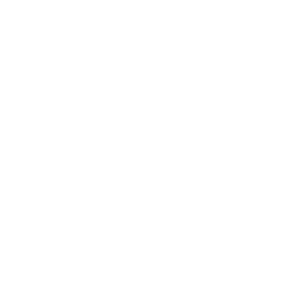        (no smoking) -   65 .