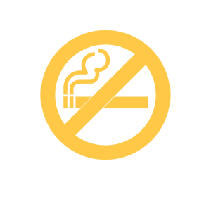        (no smoking) -   65 .