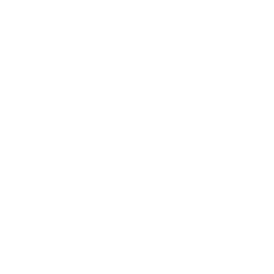        -   133 .