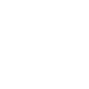         -   133 .