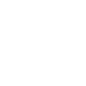      ,  -   81 .