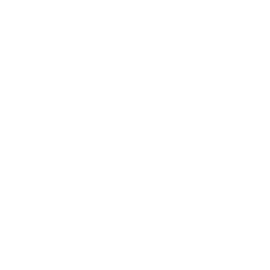      Motorcycle -   100 .