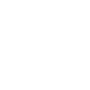      4WD -   31 .