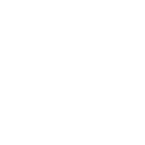      -   133 .