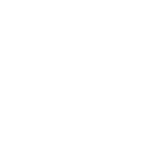         -   133 .