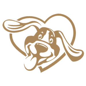 ����������� �� ����������� ������-���������� �������� ��������� - ������ �� 112 ���.