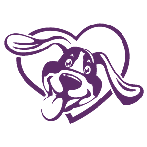 ����������� �� ����������� ���������� �������� ��������� - ������ �� 112 ���.