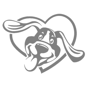 ����������� �� ����������� ����� �������� ��������� - ������ �� 112 ���.