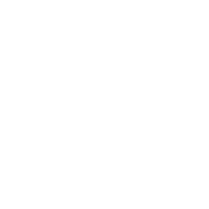        -   81 .