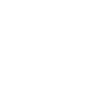          -   161 .