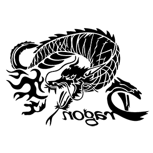       (Dragon) -   155 .