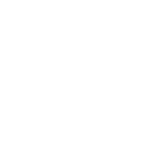        -   131 .