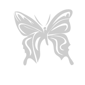 -   (butterfly) -   133 .