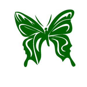    (butterfly) -   133 .