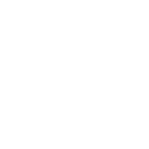     -   161 .