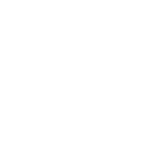        -   161 .
