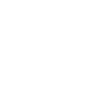       & Racing Flag -   93 .