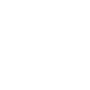     KIA (logo) -   33 .