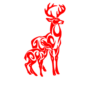      -   116 .