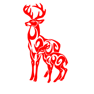         -   116 .