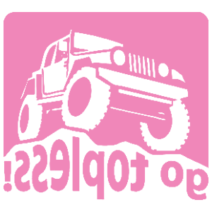      Jeep - go topless -   133 .