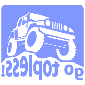      Jeep - go topless -   133 .