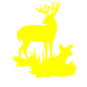      -   143 .