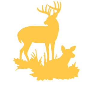      -   143 .
