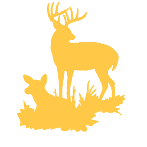         -   143 .
