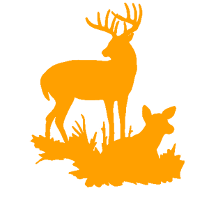      -   143 .