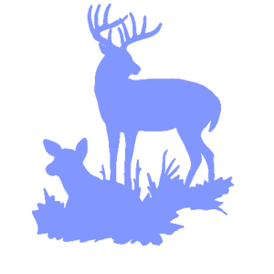         -   143 .