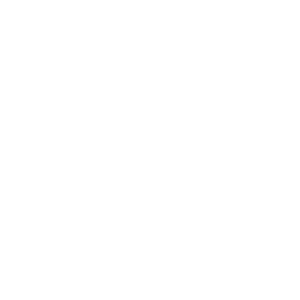      Sedan mafia -   110 .
