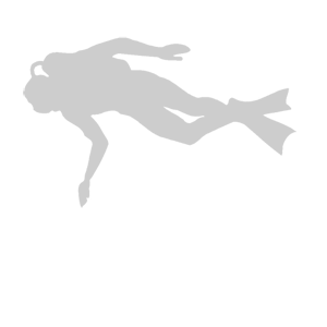 ����������� �� ����������� ������-����� �������� ������������ - ������ �� 67 ���.