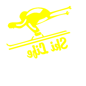       (Ski Life) -   105 .