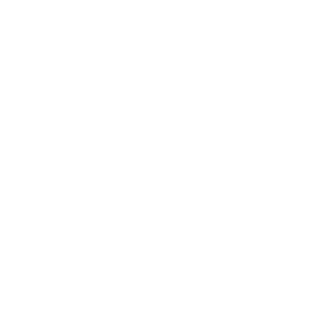       (Ski Life) -   105 .