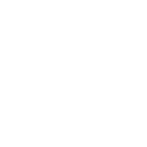      - -   161 .