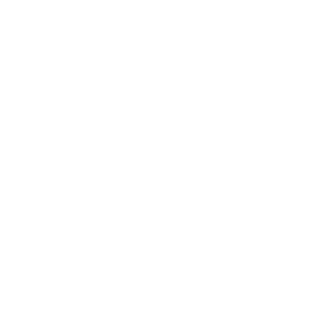   Discovery Sport Club -   99 .