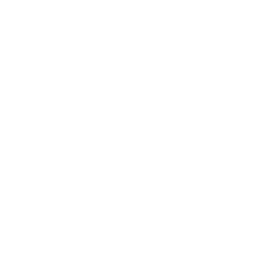     -   161 .