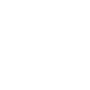          -   119 .